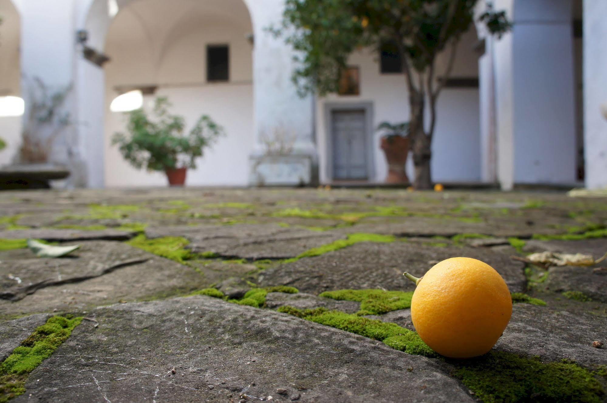 San Francesco Relais Bed & Breakfast Massa Lubrense Exterior foto